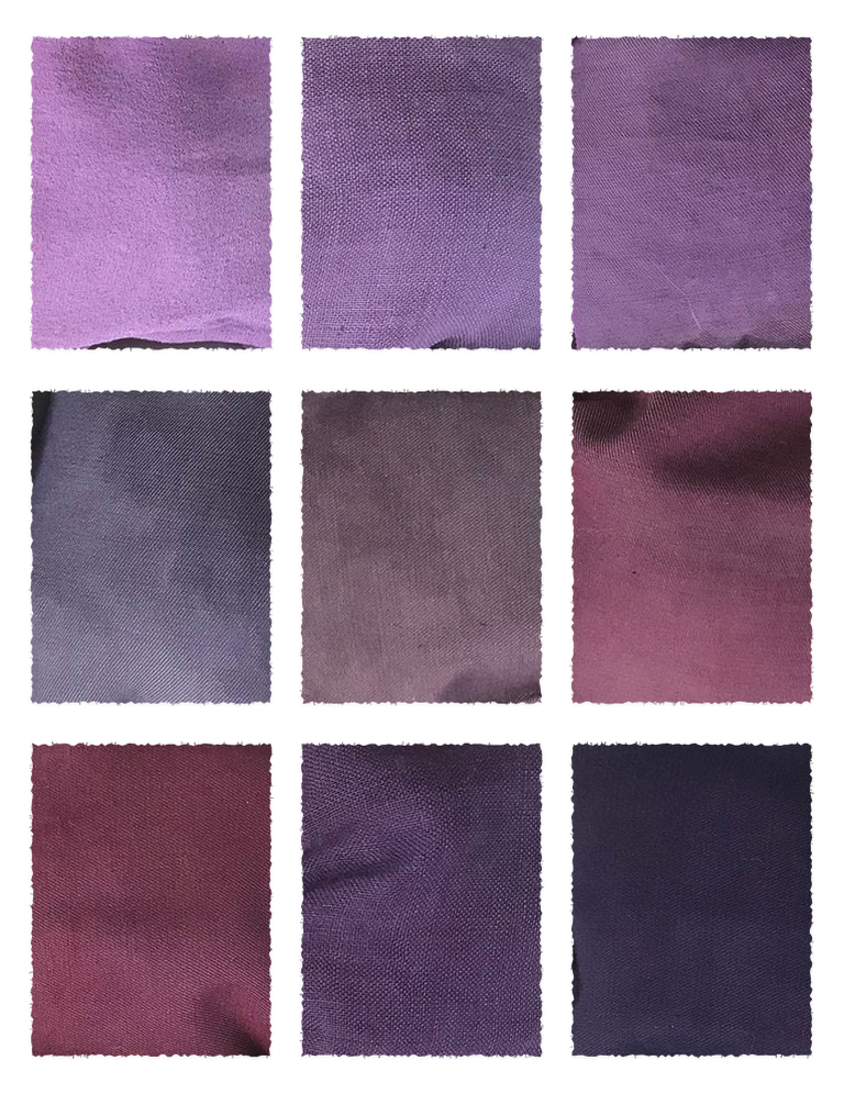 Logwood Chips (Haematoxylum campechianum) fabric samples
