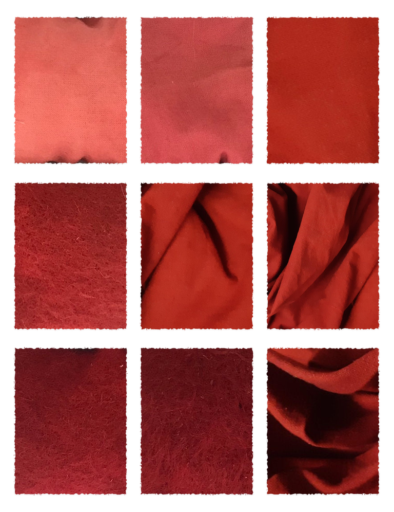 Madder Roots Powder (Rubia tinctorum) fabric samples