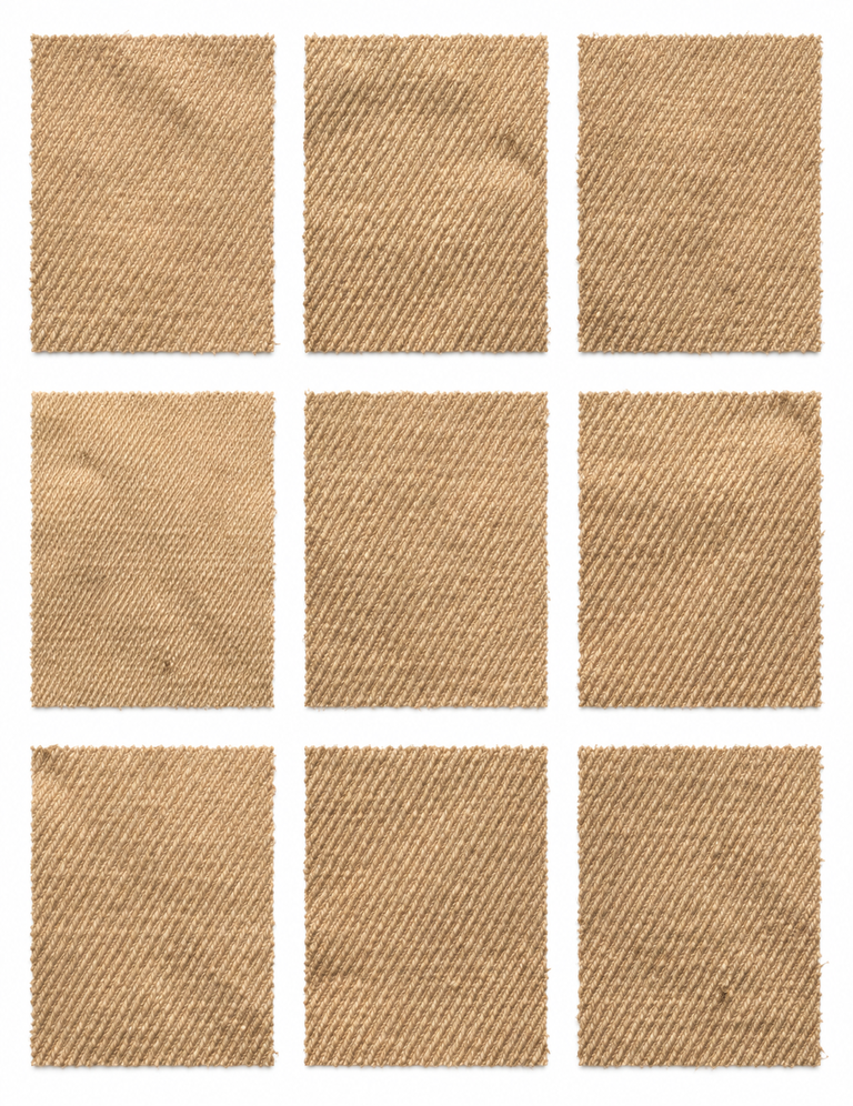 Oak Moss Lichen (Evernia prunastri) fabric samples