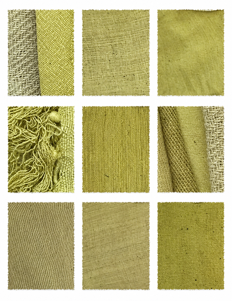 St. Johnswort (Hypericum perforatum) fabric samples