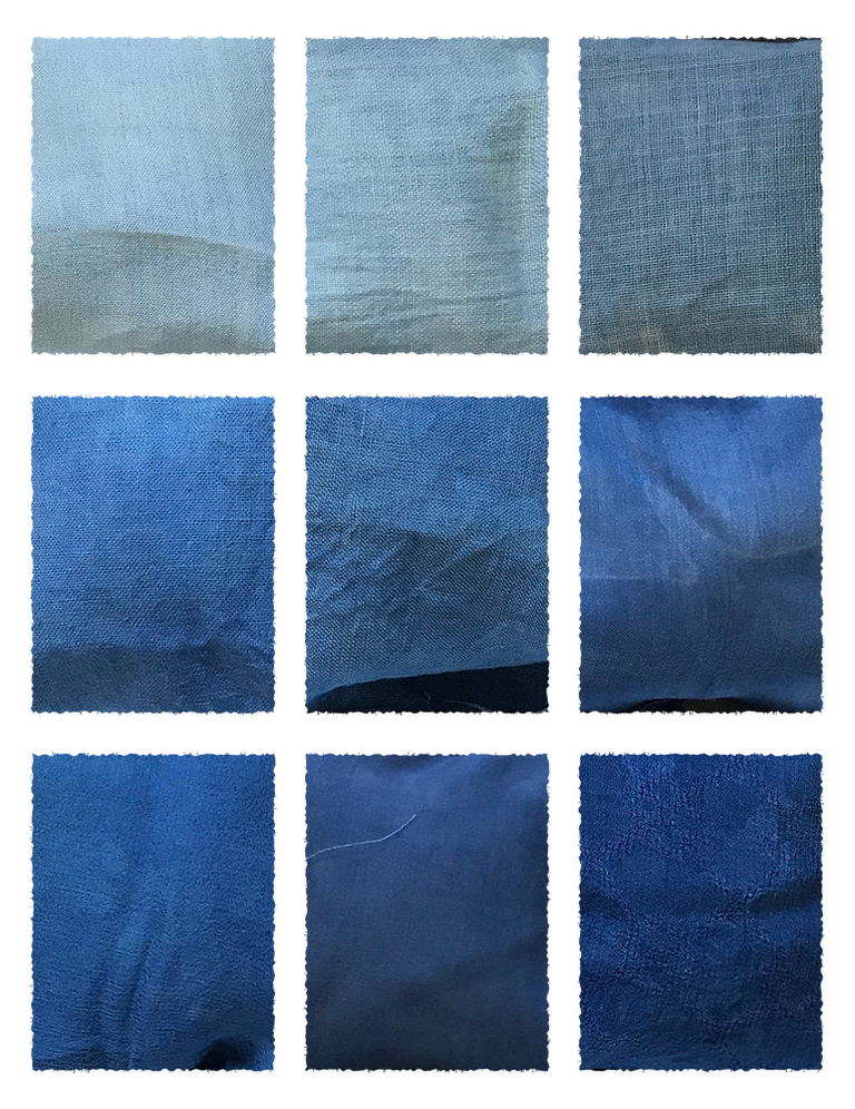 Woad Powder (Isatis tinctoria) fabric samples