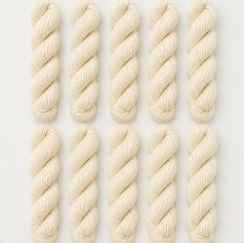 75% Wool / 25% Nylon Mini Skeins – Set of 10 (10g Each)